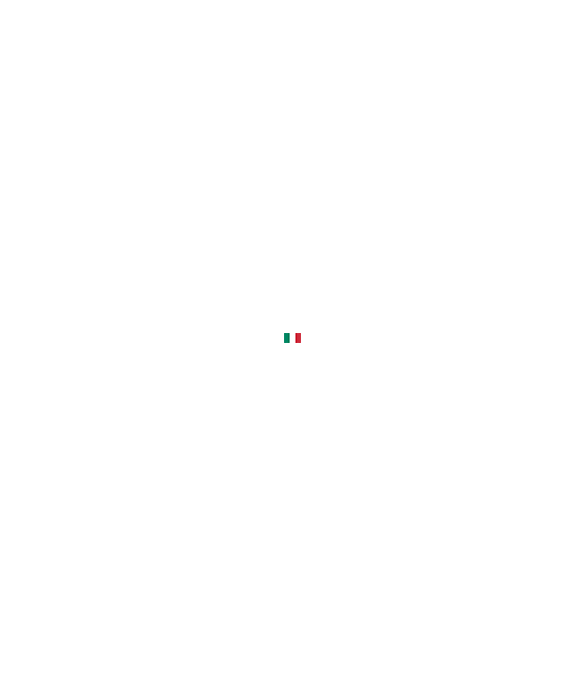 Veicoli stradali